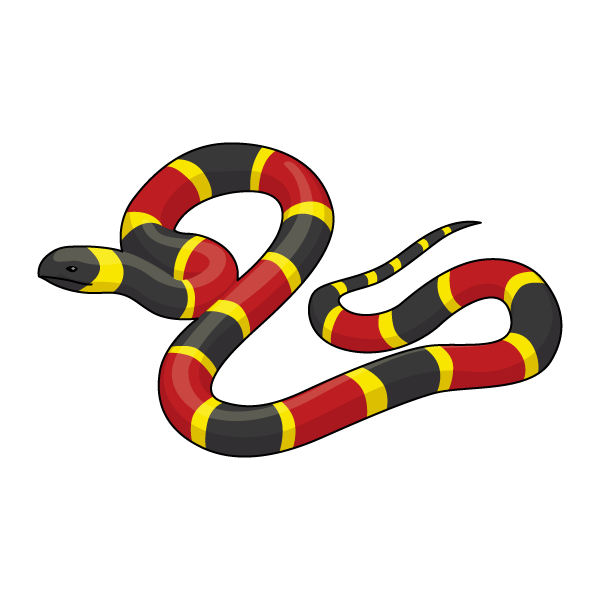 ilustración coral verdadera