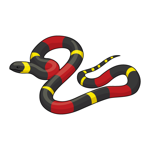 ilustración coral falsa