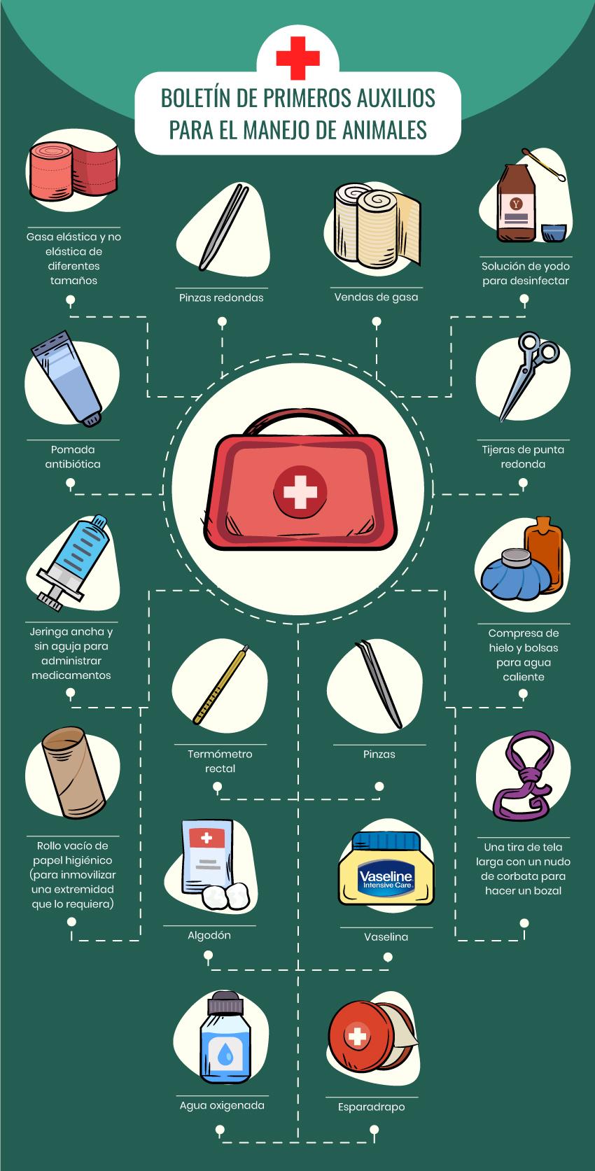 infografía botiquín primeros auxilios para el manejo de animales silvestres