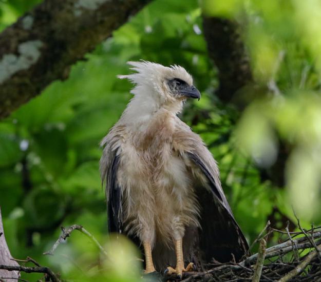 Foto 209151160, (c) LostInCR, todos los derechos reservados, subido por LostInCR