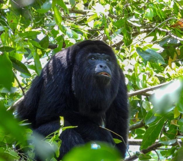 Foto 224786347, (c) Hugo Diez Santaolalla, todos los derechos reservados, subido por Hugo Diez Santaolalla