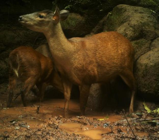 Foto 34526168, (c) Diego Balbuena, todos los derechos reservados, subido por Diego Balbuena