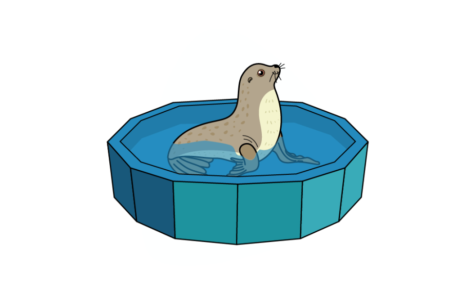 ilustración de una foca dentro de una piscina